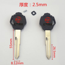 ZQ3443] Double-slot motorcycle key embryo with 3 magnets