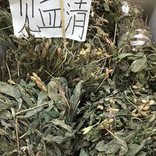 野生中药材见血清500g2份包邮降3高见血清三角枫