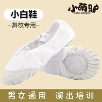 White dance shoes for children and girls soft-bottom practice shoes dancing shoes adult mens cat claw shape classical ballet shoes