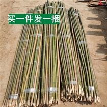 Bamboo Rod Vegetable Garden Hitch Frame Bamboo bar 3 m Bean Corner Cucumber Shelf Small Bamboo Bamboo Fence Fence Fence Frame Rod Stick