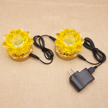 Battery power supply two Led Lotus lamp Buddha lamp Buddha lamp pair of long light plug electronic lotus lamp Buddha lamp