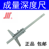 Volume depth ruler with gauge Vernier depth caliper 150 200 300 500 1000