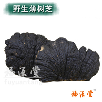 Fuyuan Tang Wild Lingzhi Yunnan Wild thin Tree Sesame Cheese Thin Peel Fiber Layer Pore Fungus 