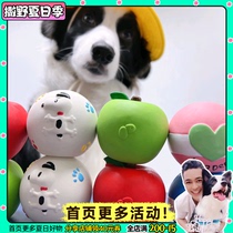 Sarano Planet Natural Latex Toy Pooch Sound Ball Resistant to Bite Teeth Cleaning Oral High Quality Young Dog Toy