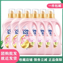 Weixin clothing softener care agent 3kg * 6 bottles of whole box of cherry blossoms lasting fragrance sterilization soft and anti-static