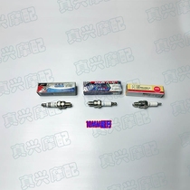 Fire mouth for little Princess WH100TAHFG little Princess Jia Yingyue joy NGK Spark Plug
