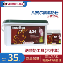 Belgian Vancel parrot milk powder A21 low-fat A19 high-fat hand-raised 0 days chicks young birds eat 250g