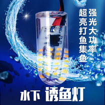 12v sewer fishing light LED sewer bulb strong light fishnet light waterproof light fishing lure light outdoor night fishing light