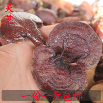 Chinese herbal medicine Ganoderma lucidum 500g black Ganoderma lucidum pieces Ganoderma lucidum strips Ganoderma lucidum Ganoderma lucidum Ganoderma lucidum