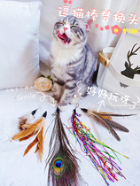 papa Meow ~ pet cat toy cat stick replacement feather Bell little butterfly replacement cat stick can DIY