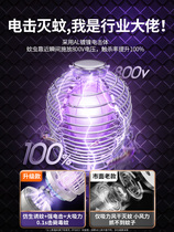 Japan imports MUJIE mosquito-borne mosquito-borne mosquito Insect Repellent indoor mosquitoes Pregnant Women Mosquitoes Physical