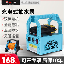 Rechargeable pump pumping machine agricultural watering machine vegetable watering machine vegetable field automatic watering small household irrigation