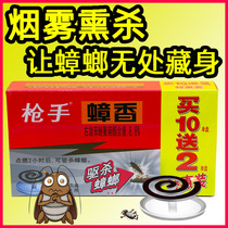 Gunner cockroach incense cockroach fragrant home restaurant cockroach medicine cockroach House cockroach cockroach mosquito coil 12 single plate