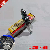 Motorcycle accessories off-road bozol cheetah Falcon Tetan M3M5T9 Orion hunting rabbit 250 spark plug