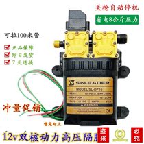 12v diaphragm pump electric sprayer high pressure dual core power pump high power high pressure car washing fertilizer double pump