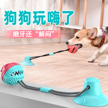 Dog toys resistant to bite molars alone large dogs suction ball rally side pasture golden hair pet tease dog relief artifact