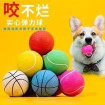 Dog toy ball biting-resistant puppies solid ball large dog horse dog grinding teeth elastic ball pet training dog supplies