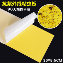 巧域昆虫飞虫粘蝇纸粘捕式灭蝇灯用粘纸粘虫板灭蝇纸蚊子苍蝇纸板