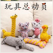 Small dog dog knots toy-resistant glue-resistant grinding teeth tedib bear Bomei puppies supplies