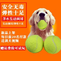 Pet Toy Ball pawzcity Rainbow Comrade Series Nieb Throw Tour Floating Dog Interactive Ball
