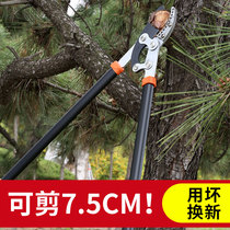 Growing hedges and cropping flowersCutting gardenersBig scissorsFlower cutting household lawn