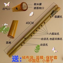 Bamboo flute harp tune Bitter bamboo flute beginner piano line school teaching