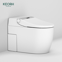 USA KEORH Smart Toilet Hotel Fully Automatic Flushing Remote Control Integrated Hip Women Washing Toilet 999