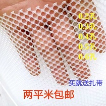 Green plastic flat net Breeding net Beekeeping net Foot net Chicken bottom king balcony protective net fence 