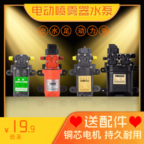 Backloaded electric sprayer accessories high pressure water pump motor diaphragm pump 12v agricultural sprayer motor double pump