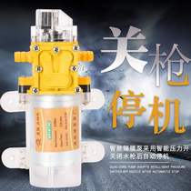 Intelligent shutdown 12v agricultural electric sprayer water pump diaphragm high pressure self-priming car washing machine pump