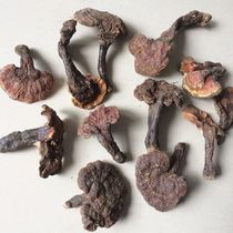 Shennongjia pure wild Ganoderma lucidum 250g500g pruning wild Ganoderma lucidum deep mountain Ganoderma lucidum dry goods