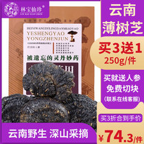 Lin Baoxian Zhen Yunnan wild thin tree Ganoderma lucidum thin tree cover Ganoderma lucidum wild Ganoderma lucidum can cut 250g