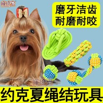 Yorkshire special rope knots toy ball with rope suit resistant to bite and tooth antiquity Puppies Puppies Mini Dog Supplies