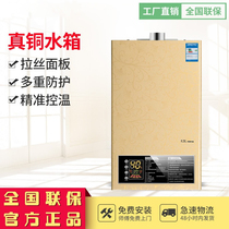 Fangtai household gas water heater Kitchen intelligent constant temperature instant natural gas liquefied gas 16 water heater special price