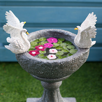 Swan creative hydroponic Flowerpot Garden courtyard copper flower daffodil green water raising stone balcony decoration decorations