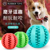 Dog toy ball golden hair resistant to bite molars leak food mint taste watermelon ball Teddy tooth cleaning love to play elastic rubber ball