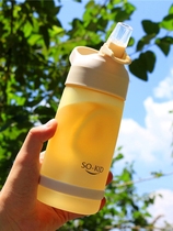 Suction tube Cup adult pregnant women maternal frosted simple special girl adult with straw water Cup girl portable cup