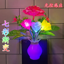 Light control Colorful gradient Energy-saving night light led plug-in intelligent induction wall lamp luminous feeding bedside lamp