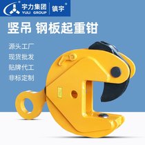 The vertical hoisting steel plate lifting clamp clamp of vertical hoisting steel plate clamp 1T5T10T fixture hanging
