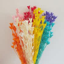 Dried Natural Flowers Branch Colorful Real Preserved Flower