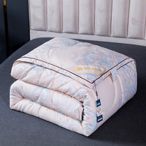 Pure handmade Tongxiang silk quilt 100 mulberry silk winter quilt core noble spring and autumn quilt 10kg Four Seasons Universal