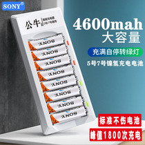 Sony rechargeable battery No. 5 set rechargeable large capacity toy KTV microphone microphone dedicated Ni-MH No. 5