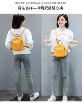 Monkey mini backpack cute backpack female crossbody super light canvas net red light small nylon bag tide