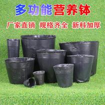 Plastic seedling breeding flower pot nutrition Cup nursery bag Black disposable seedling simple bowl bag planting large size