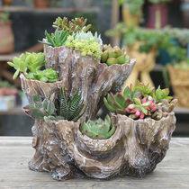 Non-shaped wood root non-ceramic flower pot multi-mouth flower stand multi-flower stand multi-meat plant creative office desktop small flower pot