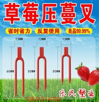 Tao Xinhui round mouth extended strawberry fork nursery Vine Press seedling fork vine plant retainer Cranial root