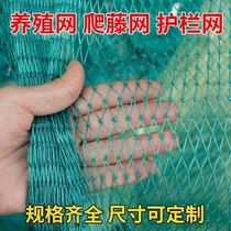 100-meter poultry chicken net chicken net chicken net vegetable garden net fence net fence net chicken net chicken net chicken net nylon net