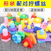 Kindergarten Small Class Living Area Screwing Screw Baby Shape Pairing Desktop Toy Science Area Corner Operating Material