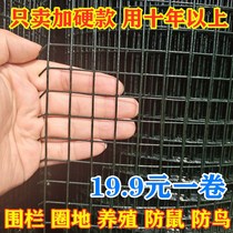 Plastic-covered wire fence enclosure breeding net bird-proof mouse-proof snake-small hole barbed wire-raising chicken and duck cage