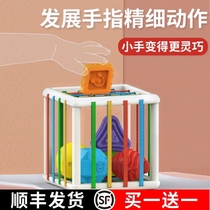 Rainbow Sesele toys baby fine action Net Red puzzle early education 6-12 months baby 1 year old one cube 2